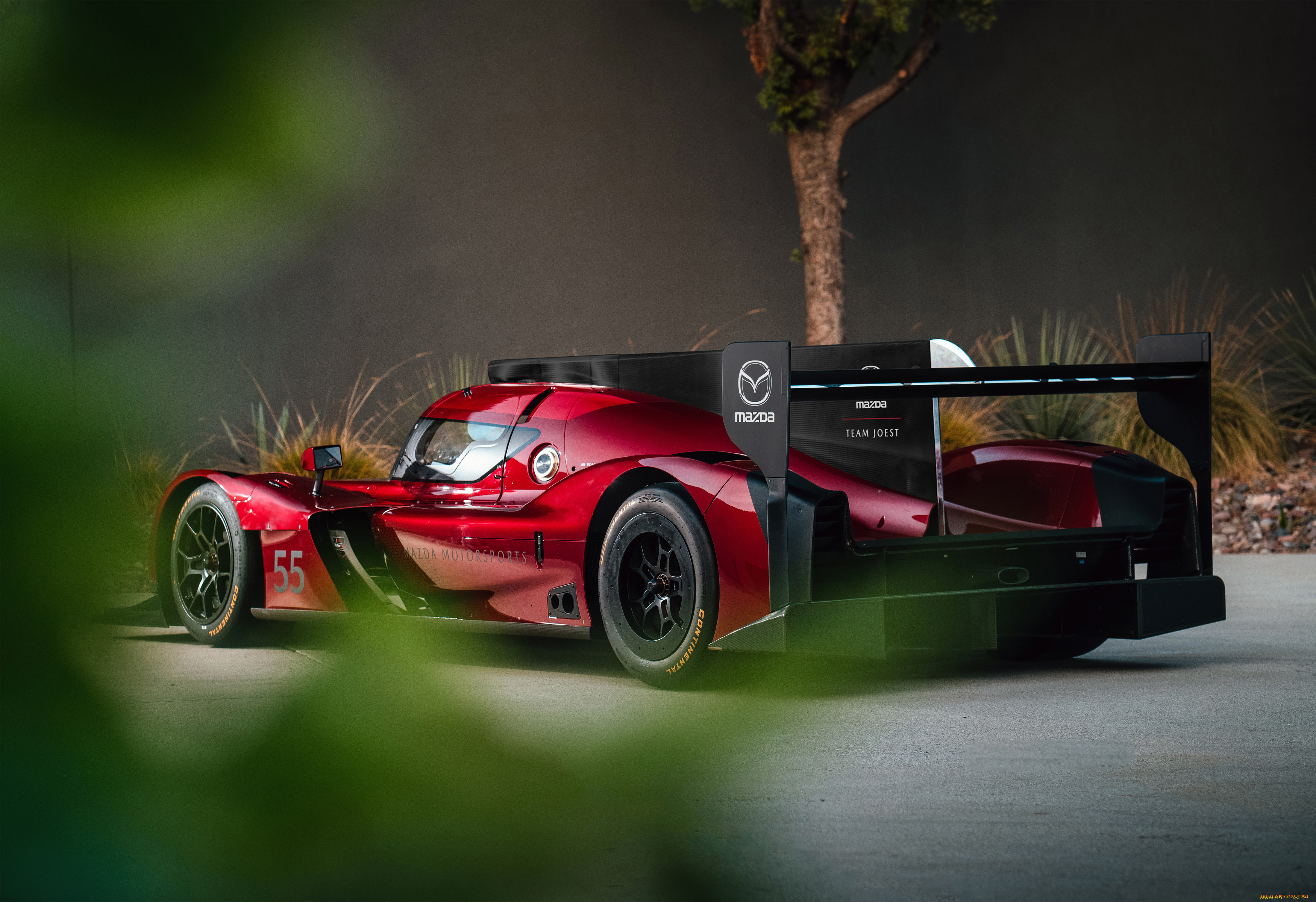 , mazda